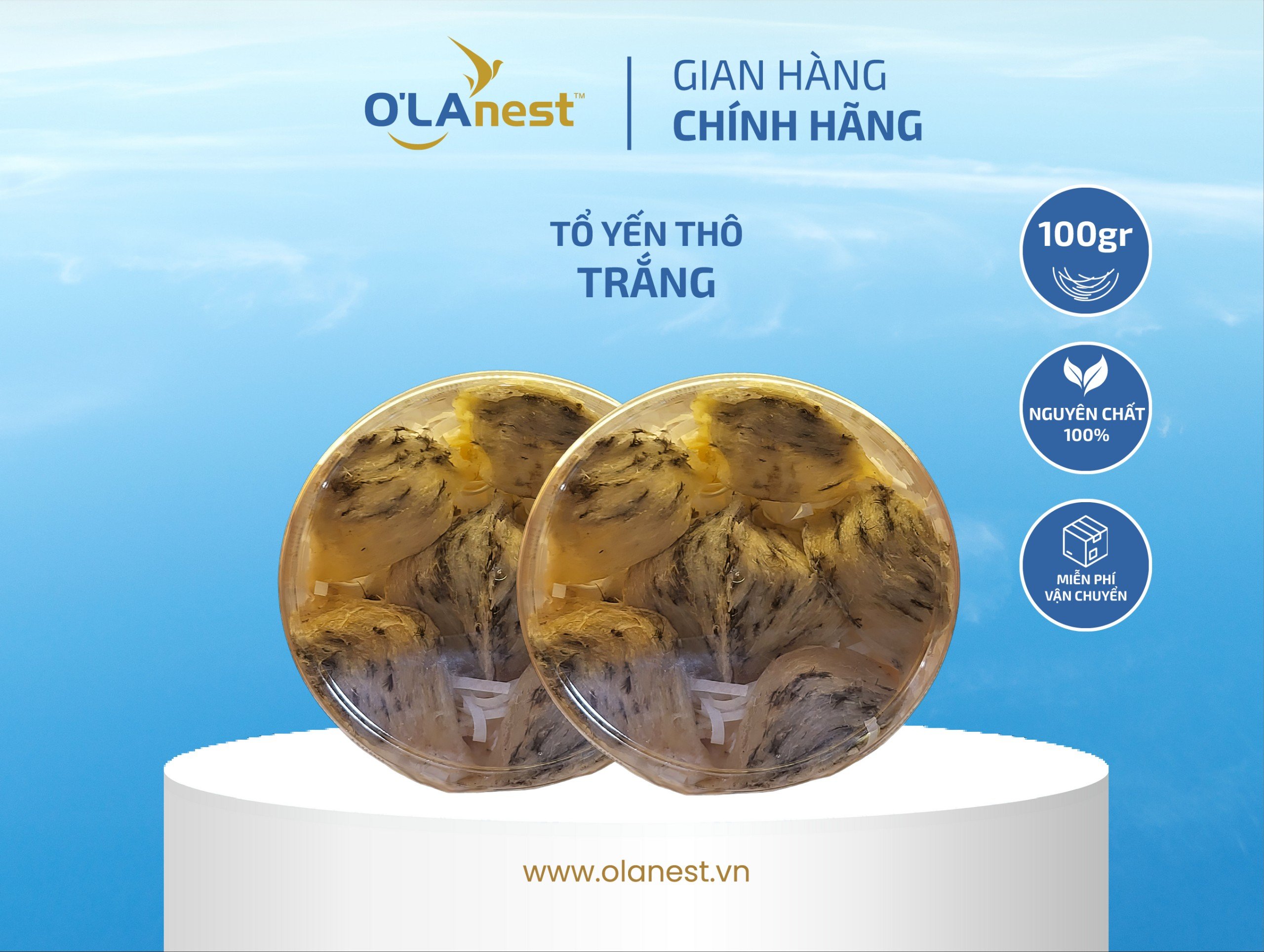 TỔ YẾN THÔ Trắng VIP (loại đẹp, lông vừa)
